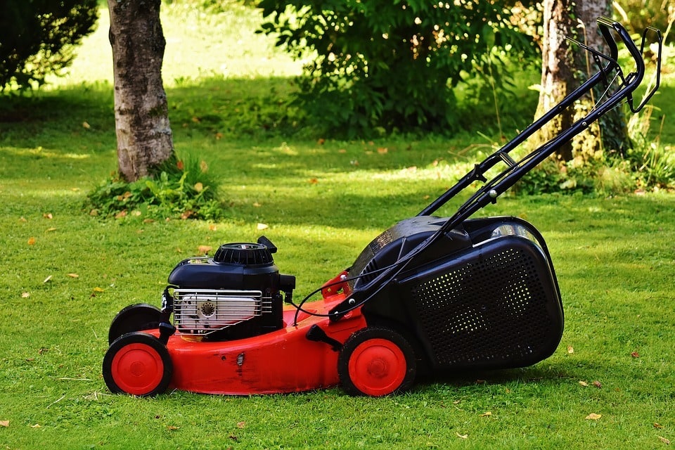 Quel formation pour devenir jardinier ?